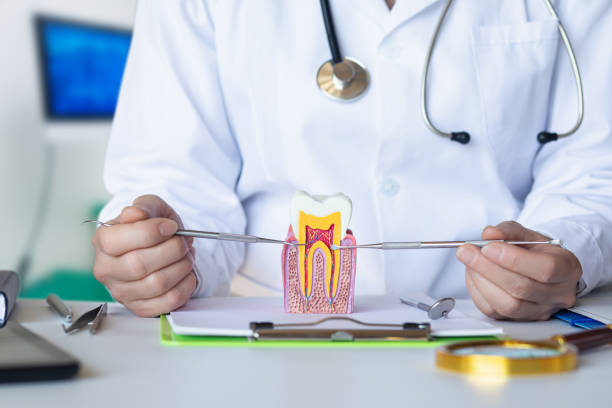 Best Knocked-Out Tooth Emergency  in Waldo, AR